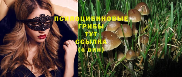 ешки Володарск
