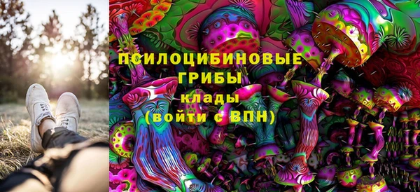 ешки Володарск